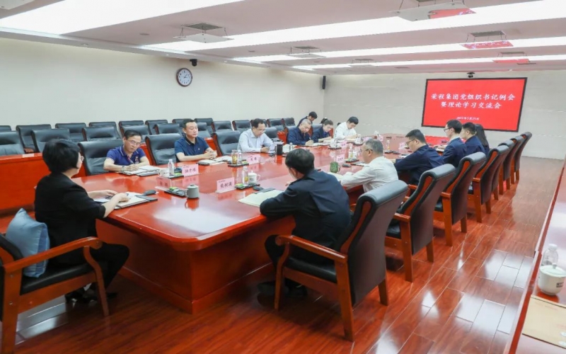 黨建引領 凝心聚力 榮程集團召開黨組織書記例會暨理論學習交流會