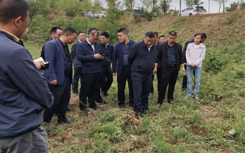 天水市政協(xié)副主席、清水縣委書記馬越垠到“榮程百草莊園”中藥材試驗基地調(diào)研中草藥產(chǎn)業(yè)發(fā)展工作