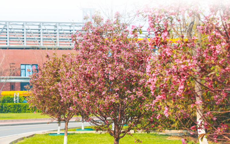榮程視覺 - 來，一起走進春天里的榮程鋼鐵
